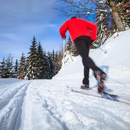 Bergkristall 公寓 *