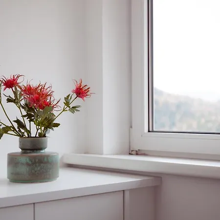 公寓 Bergkristall 索内纳尔佩·纳斯费尔德